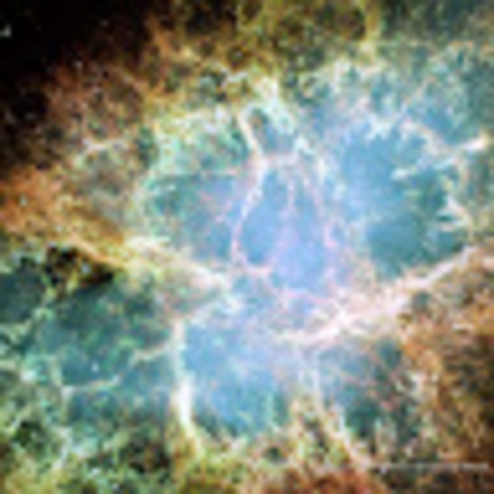 Meet your Posher, Paul